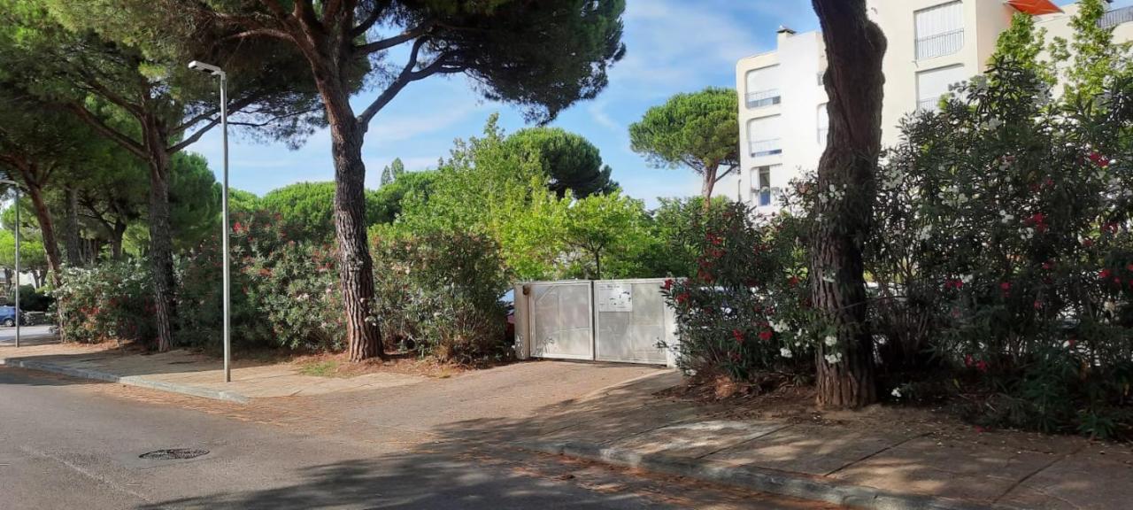 T 2 Mottland 300 M Plage La Grande-Motte Exterior photo